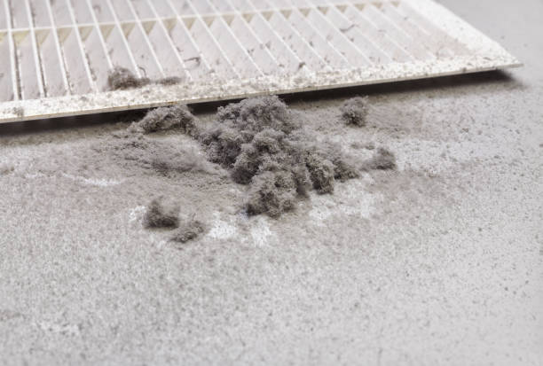 Best Dryer Vent Cleaning Services  in Chester, VA
