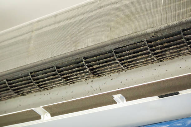 Best HVAC Maintenance and Cleaning  in Chester, VA